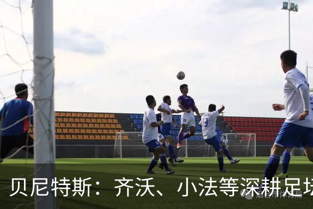贝尼特斯：齐沃、小法等深耕足坛的人，就是意甲球队最可靠的底气